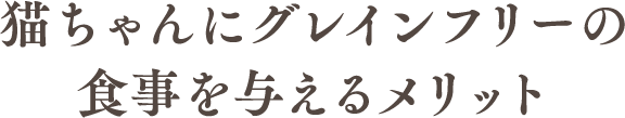 猫ちゃんにグレインフリーの食事を与えるメリット