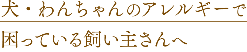 犬・わんちゃんのアレルギーで困っている飼い主さんへ