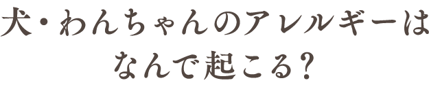 犬・わんちゃんのアレルギーはなんで起こる？