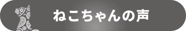 ねこちゃんの声