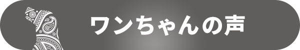 ワンちゃんの声