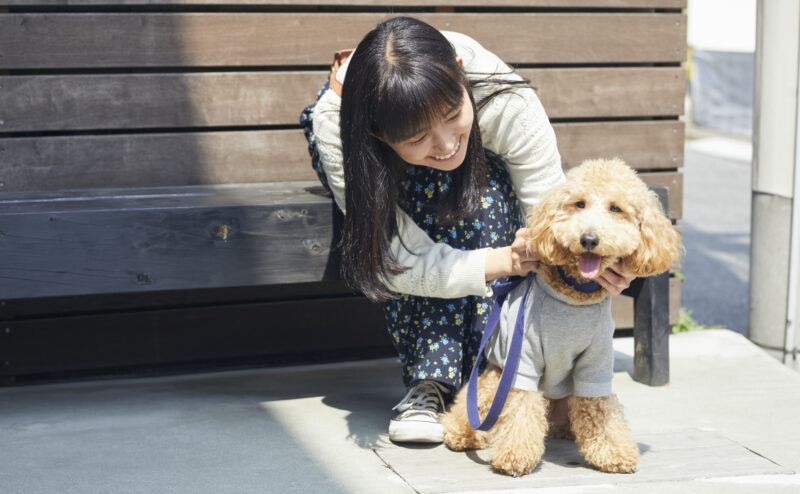 犬を飼う方は必ず押さえておくべき犬の散歩マナーについて