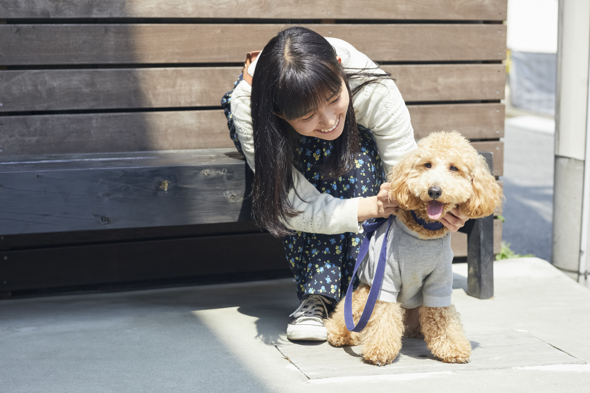 犬を飼う方は必ず押さえておくべき犬の散歩マナーについて