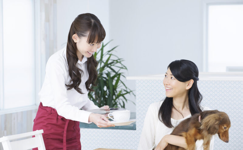 ドッグカフェでの愛犬マナー！はじめてドッグカフェを利用する前には必読！