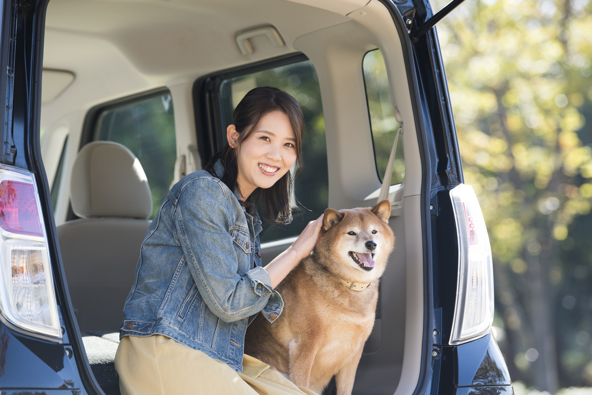 愛犬を乗せた車の運転でやっていけないこととは?どのように乗せればいい?