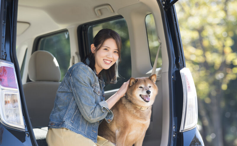 愛犬を乗せた車の運転でやっていけないこととは？どのように乗せればいい？