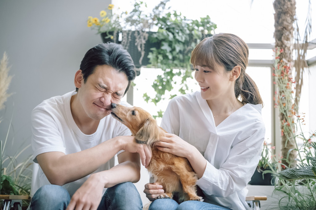 犬が飼い主の顔を舐める理由とは？