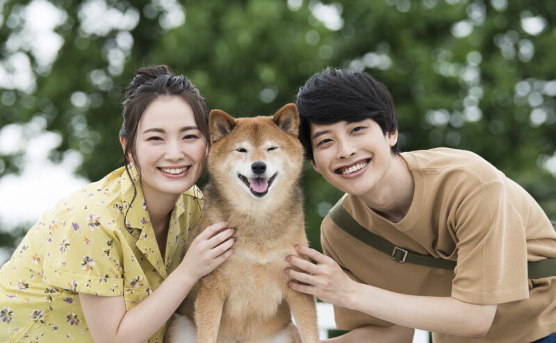 犬が喜ぶ撫で方とは？犬を撫でるときのポイントを紹介！