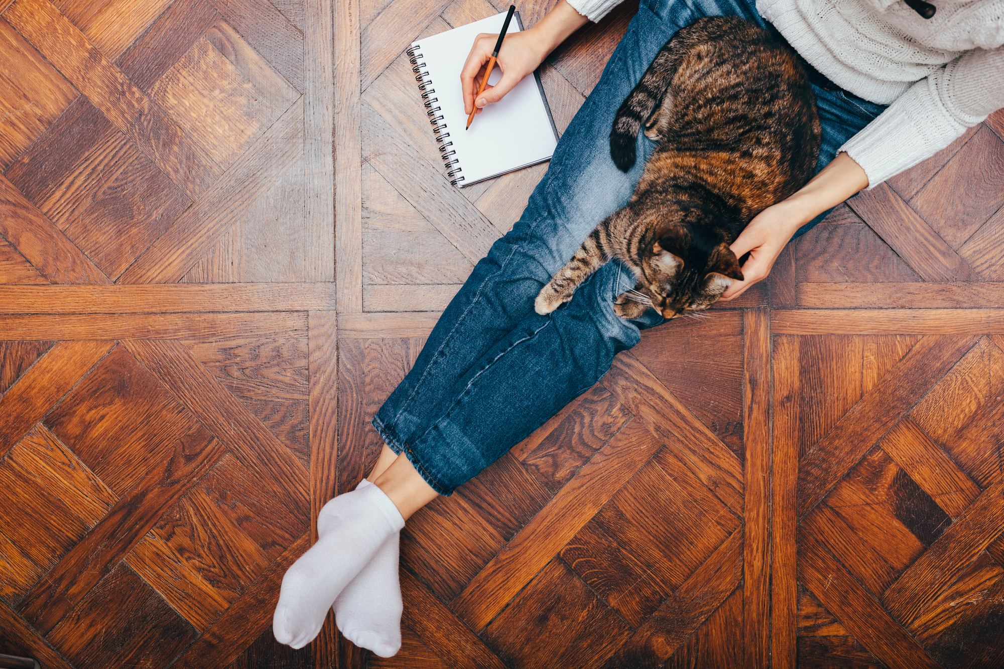 猫はなぜ足をふみふみすることがあるのか 公式 ピュアラックス Pureluxe 無添加ドッグフード キャットフード通販