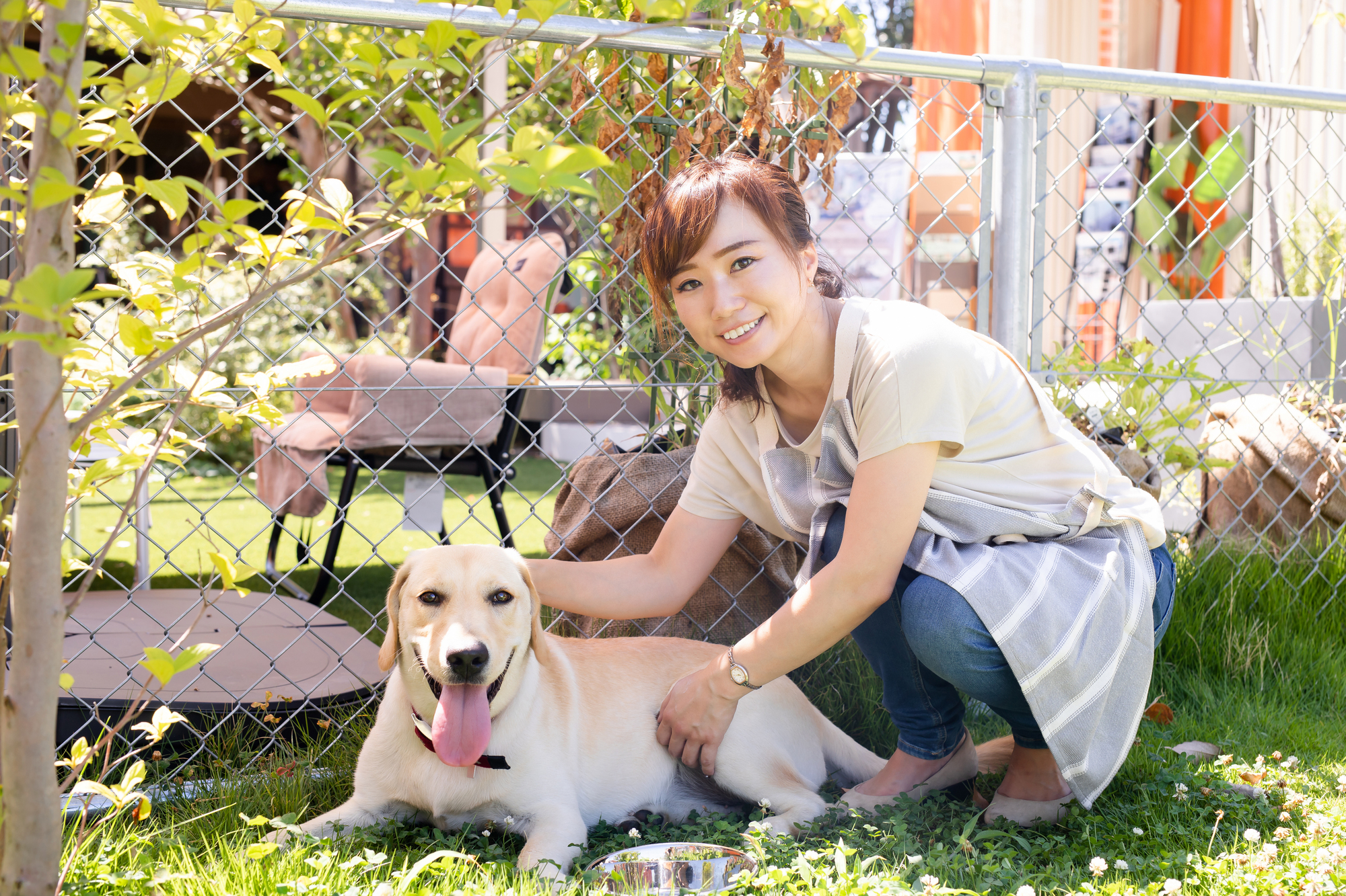 犬のしつけ教室の選び方 しつけ教室では何を教えてくれる 公式 ピュアラックス Pureluxe 無添加ドッグフード キャットフード通販 犬のしつけ教室の選び方 しつけ教室では何を教えてくれる 公式 ピュアラックス Pureluxe 無添加ドッグフード キャットフード通販