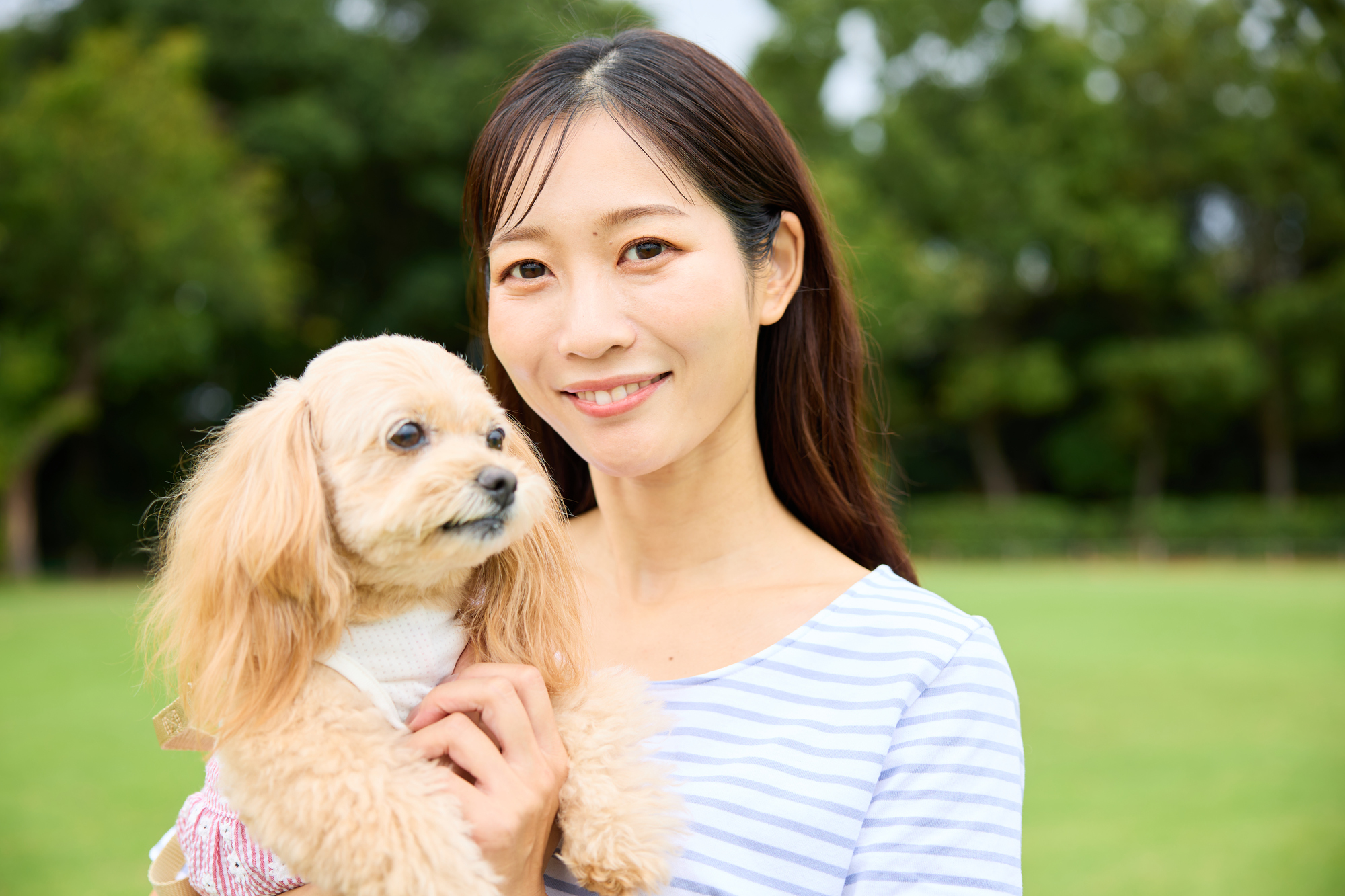 愛犬の健康チェックのポイントとは？