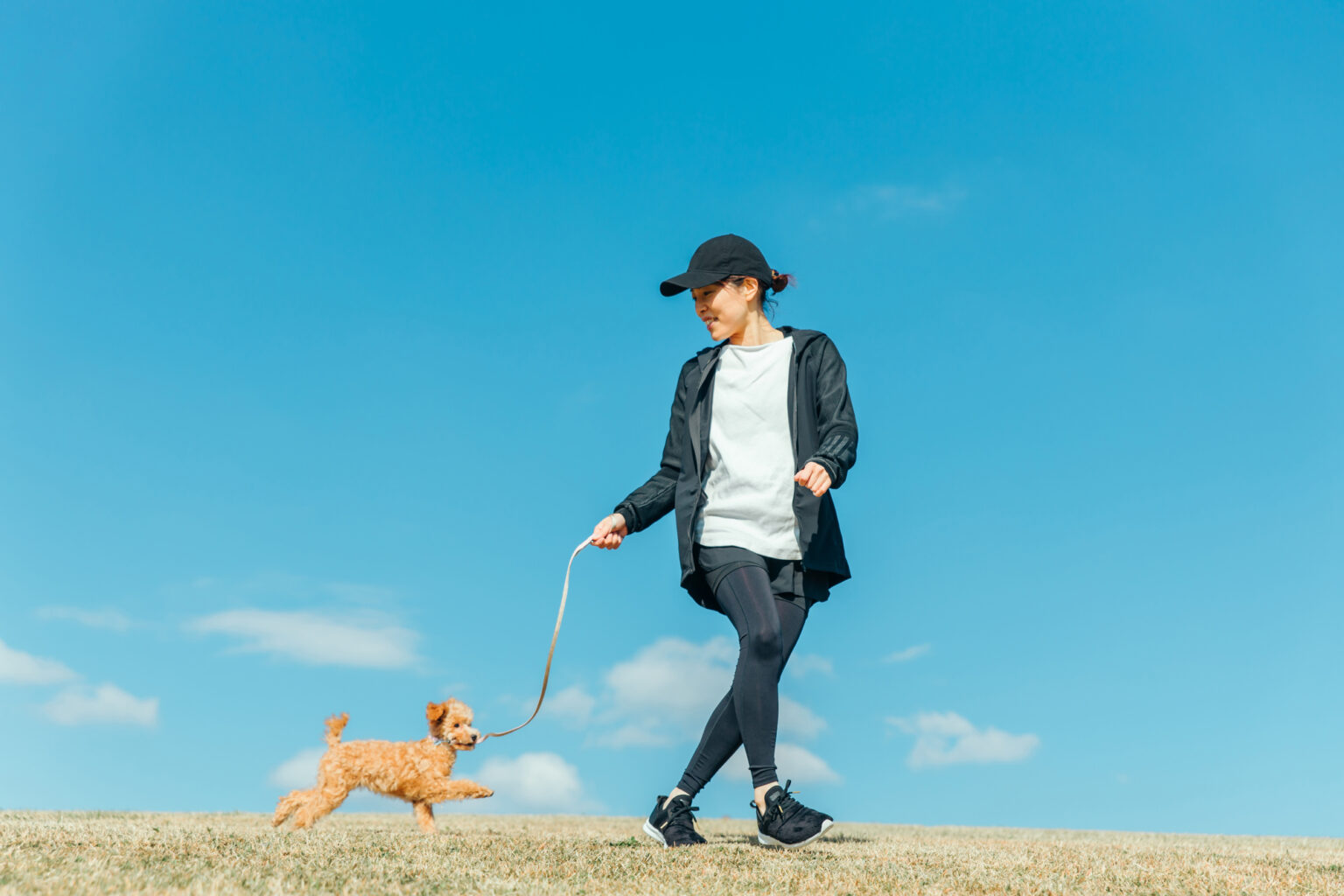 【公式】ピュアラックス（PURELUXE）無添加ドッグフード・キャットフード通販 - 無添加ペットフードPURELUXE（ピュアラックス）の ...