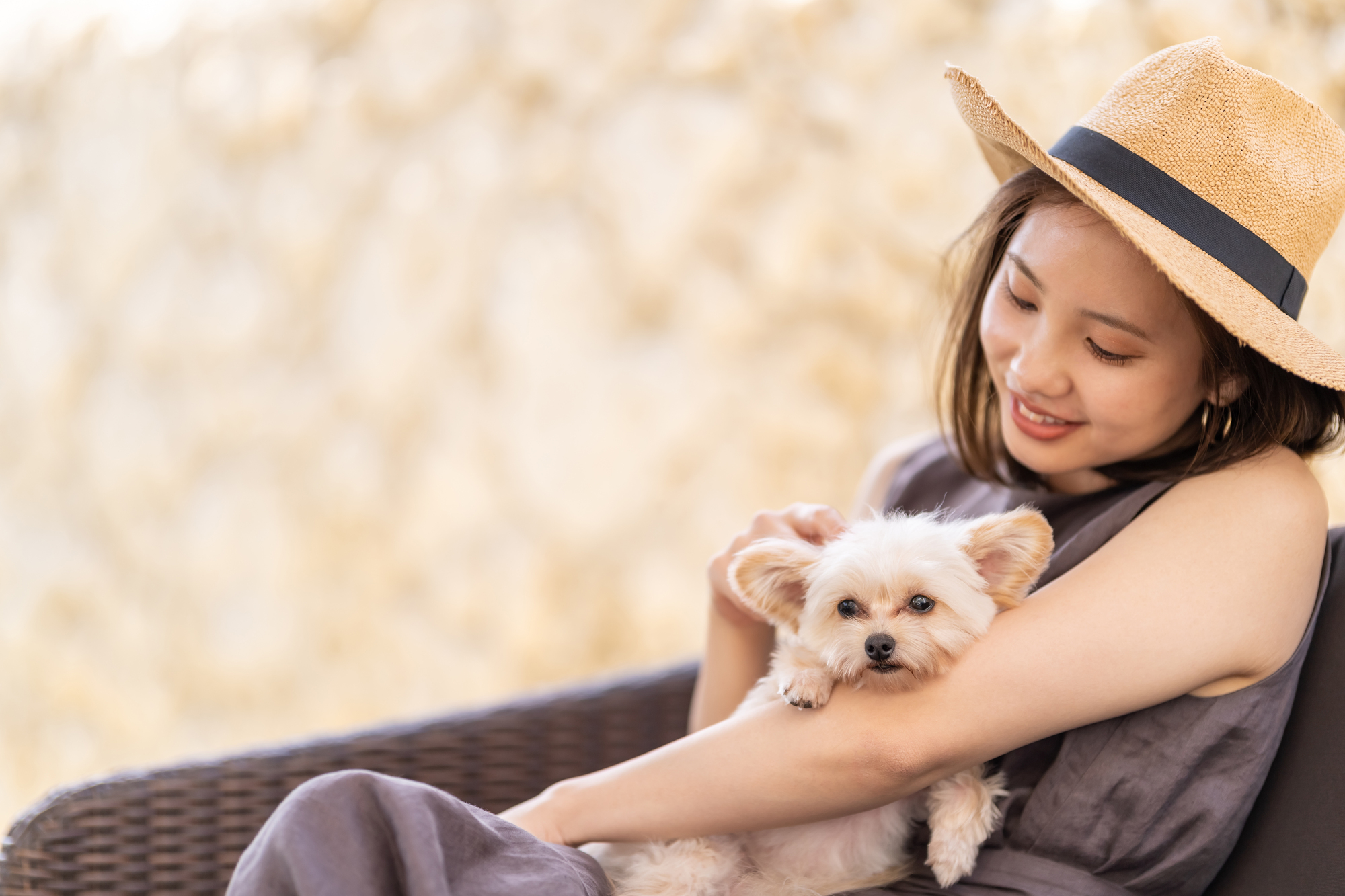 犬と一緒に過ごすメリット・デメリット｜一緒に過ごす上での注意点も紹介！