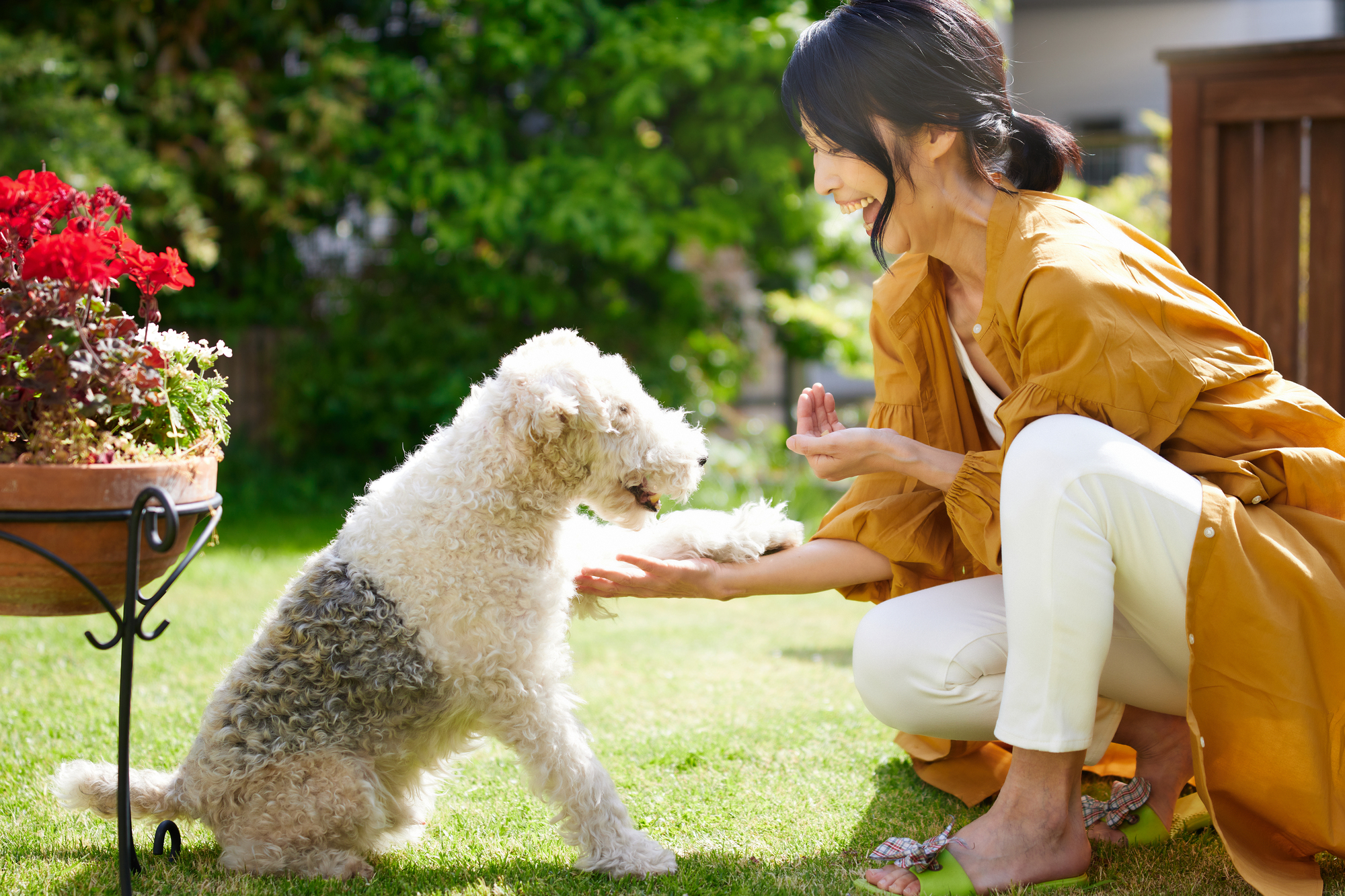 愛犬とコミュニケーションをとる重要性と構いすぎのデメリット - 【公式】ピュアラックス（PURELUXE）無添加ドッグフード・キャットフード通販