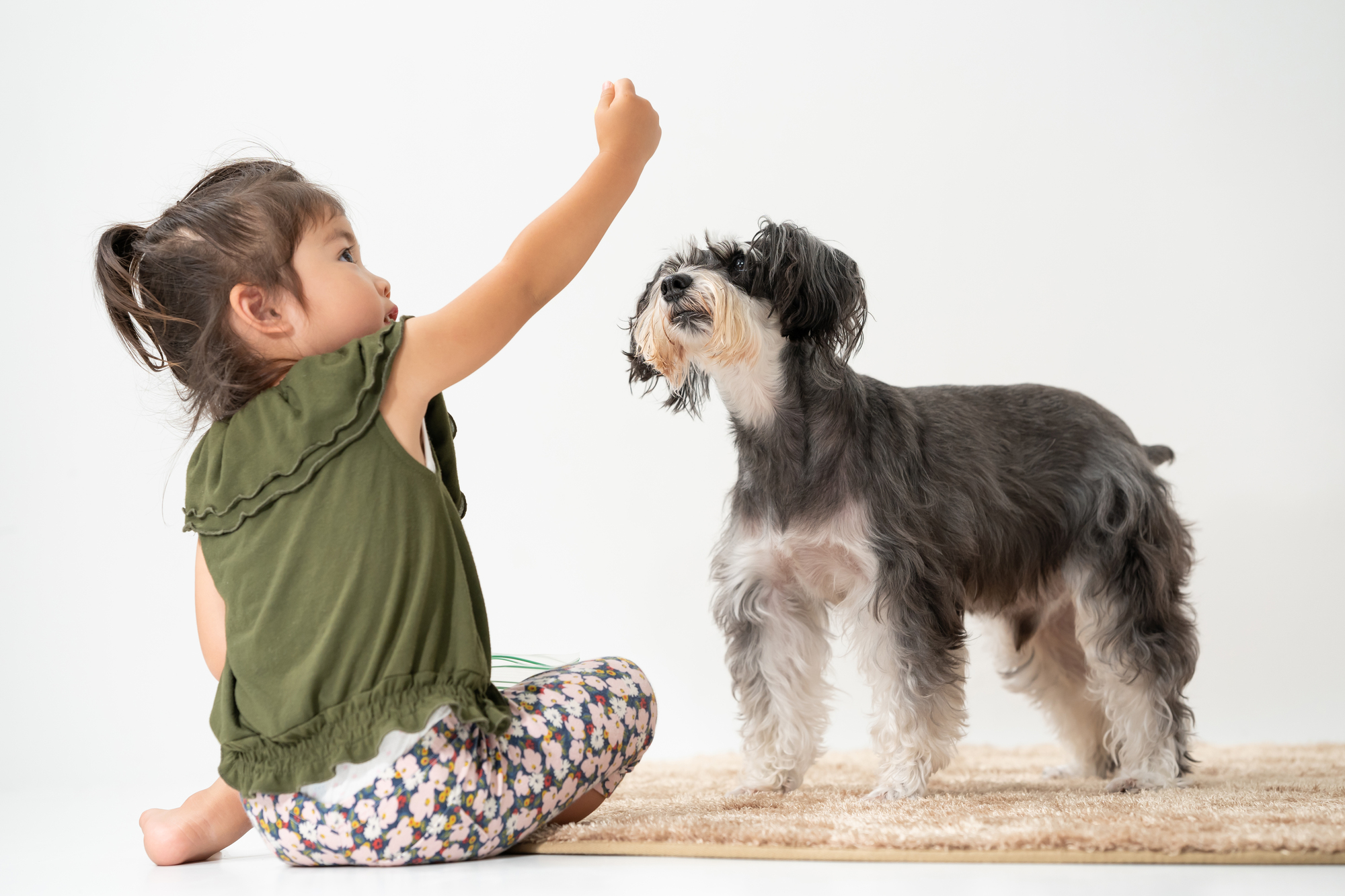 犬が子供にだけ吠えたり噛みついてしまう理由と対策方法