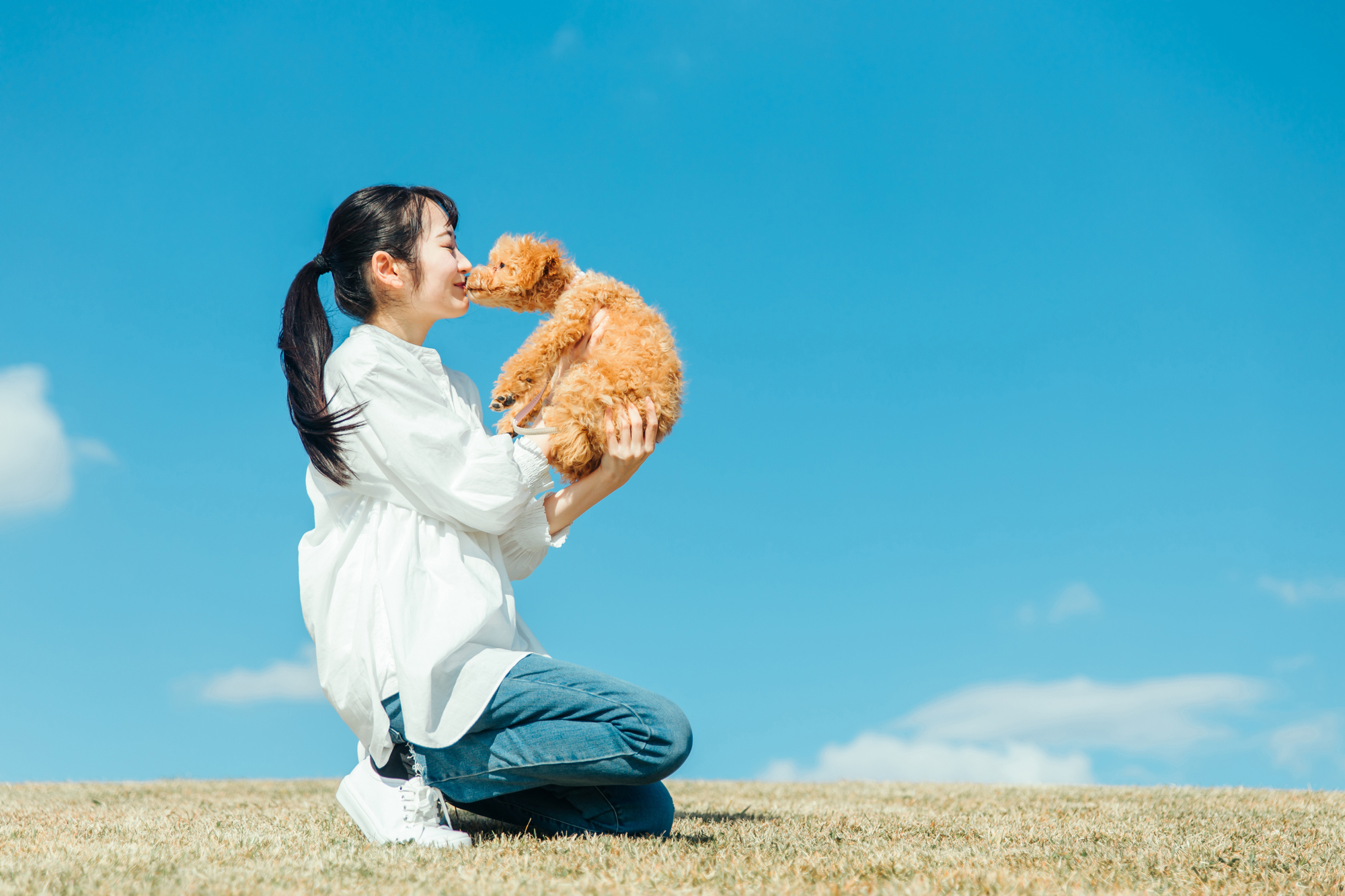 愛犬と遊ぼう！愛犬と楽しむお出かけアイデア7選 - 【公式】ピュアラックス（PURELUXE）無添加ドッグフード・キャットフード通販
