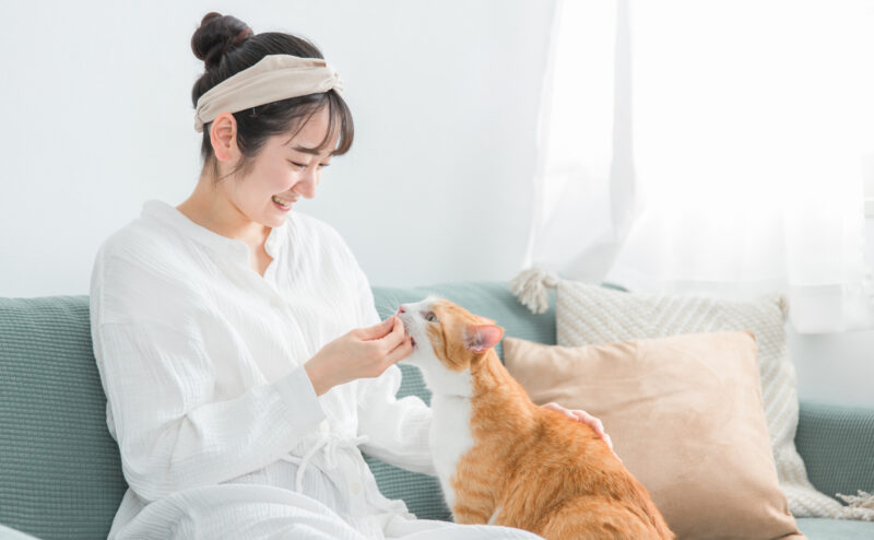 猫にもしつけは必要か？そのコツとは？
