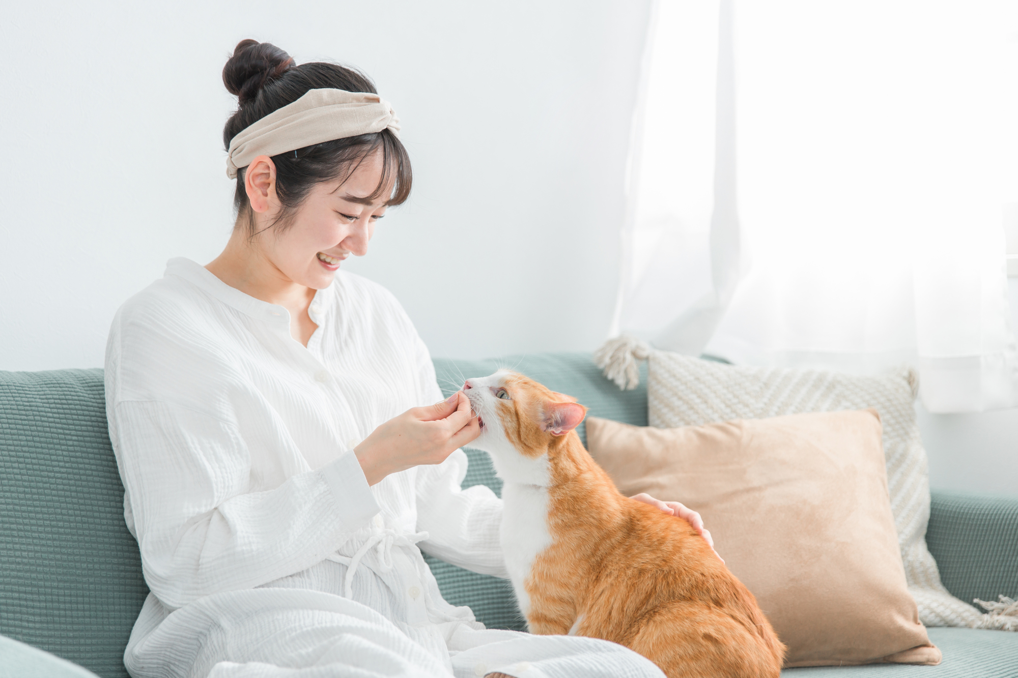 猫にもしつけは必要か？そのコツとは？