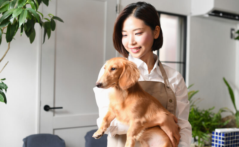 友人の犬を預かる場合のポイントは？先住犬がいる場合のポイントも紹介！