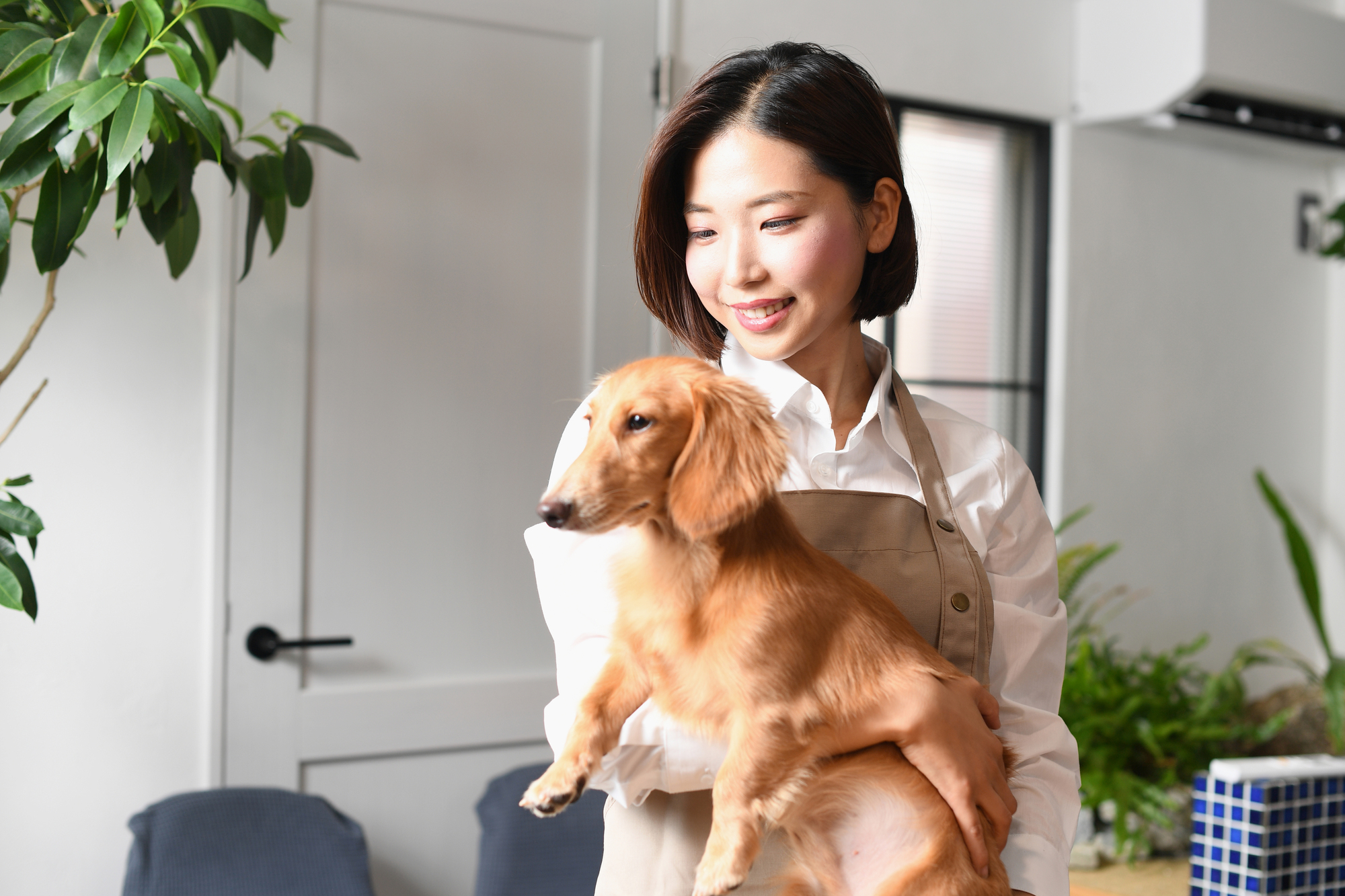友人の犬を預かる場合のポイントは？先住犬がいる場合のポイントも紹介！