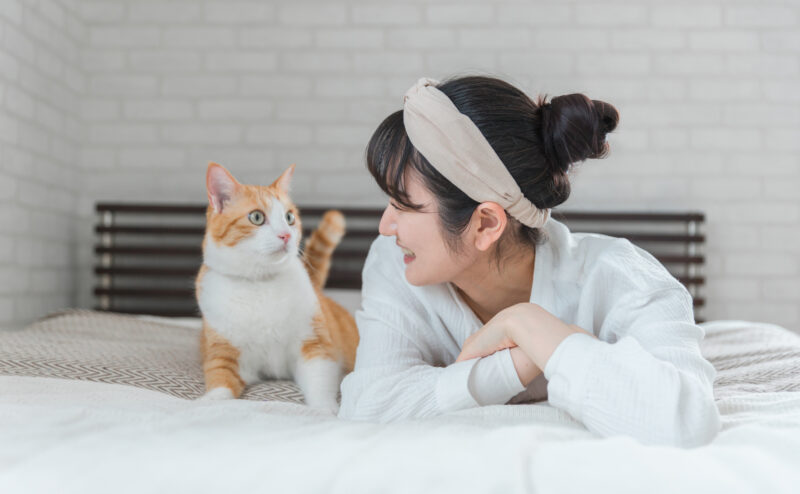 愛猫のせいで睡眠不足？寝てる最中に愛猫に起こされるのはなぜ？