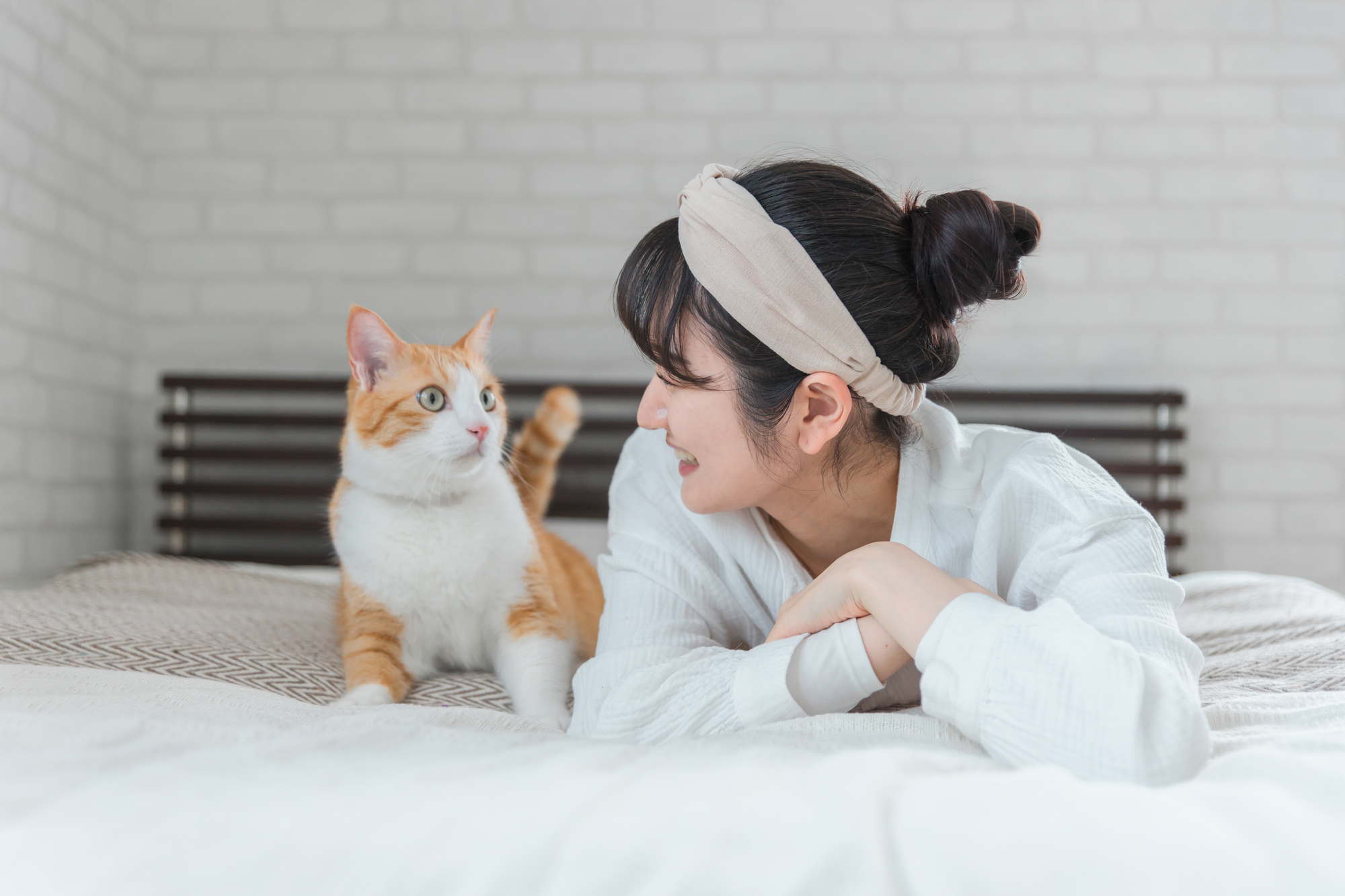 愛猫のせいで睡眠不足？寝てる最中に愛猫に起こされるのはなぜ？