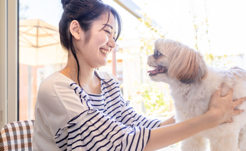 愛犬を迎え入れる選択肢について～ペットショップ？譲渡会？～