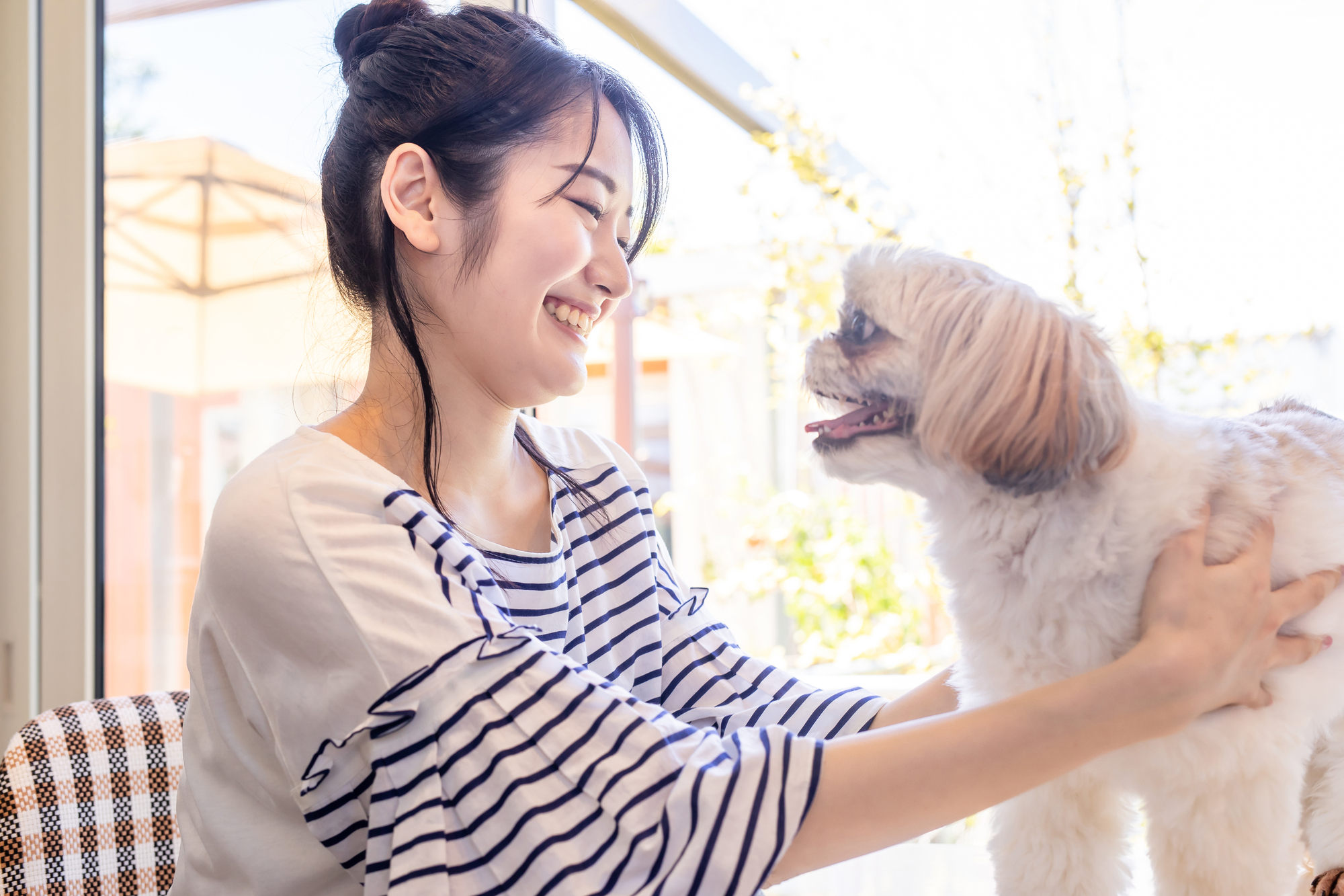 愛犬を迎え入れる選択肢について～ペットショップ？譲渡会？～