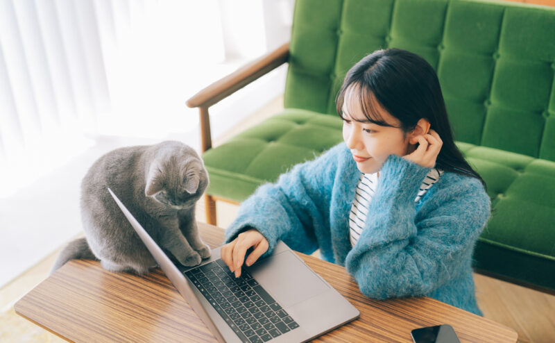 一人暮らしで猫を飼う前に知っておきたいことと心構え