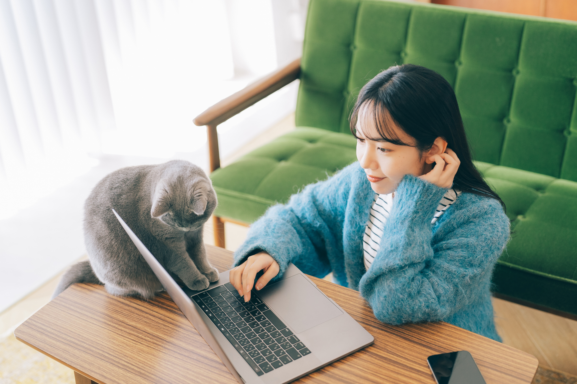 一人暮らしで猫を飼う前に知っておきたいことと心構え