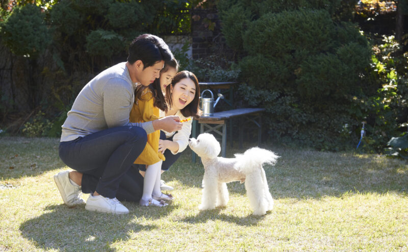 犬を飼うと子どもにどんな影響がある？