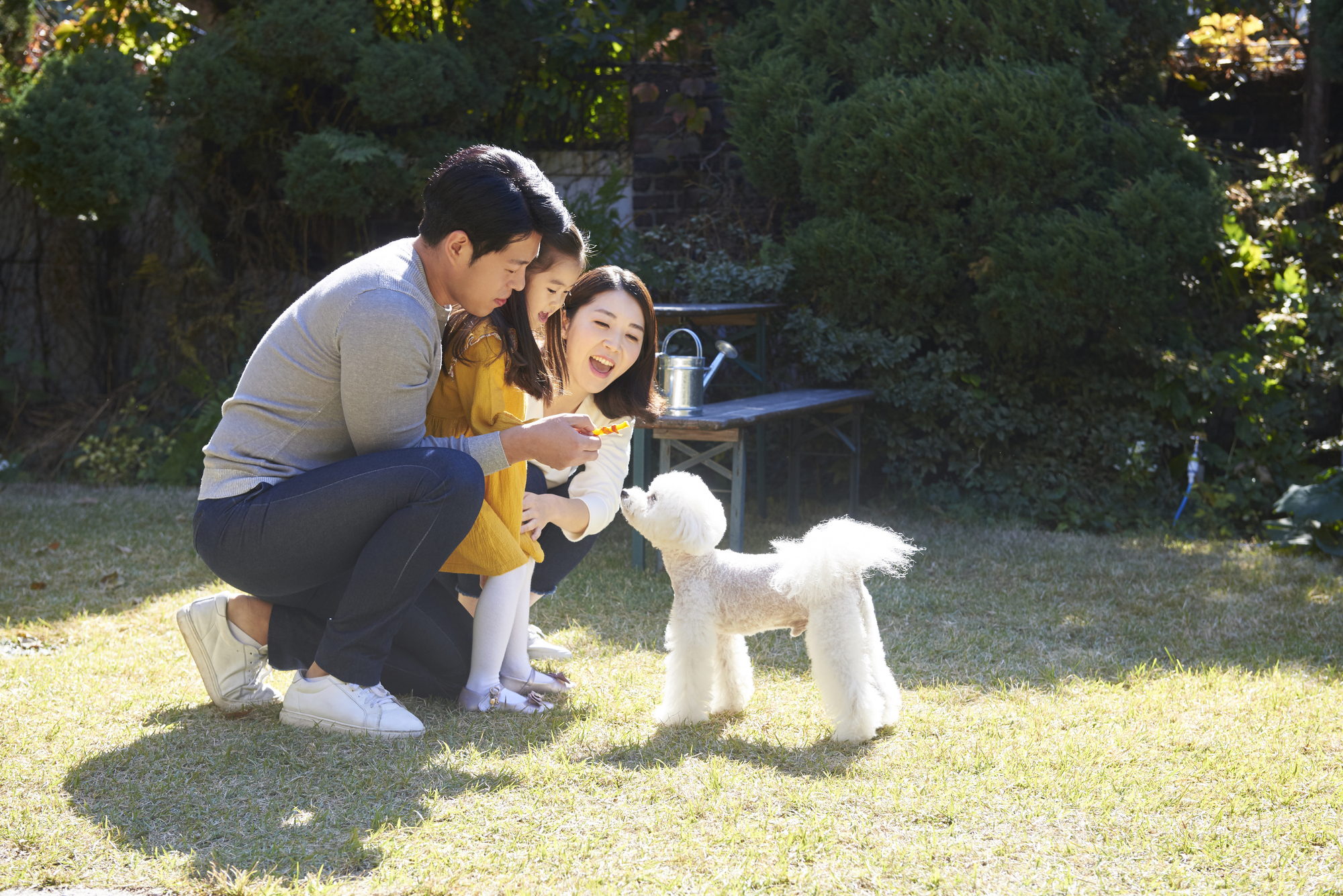 犬を飼うと子どもにどんな影響がある？