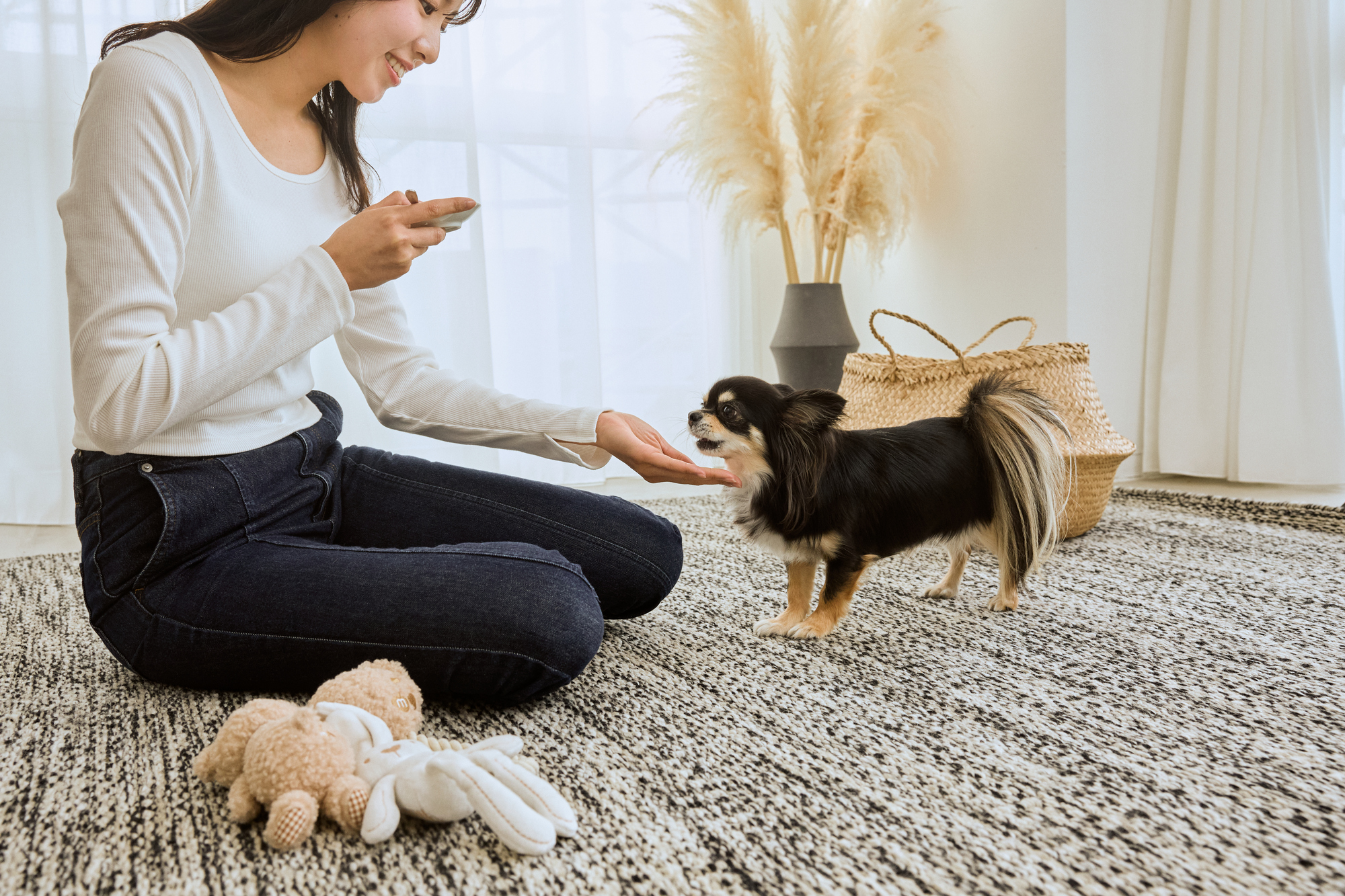 犬のおやつは毎日あげてもいい？注意点を紹介！
