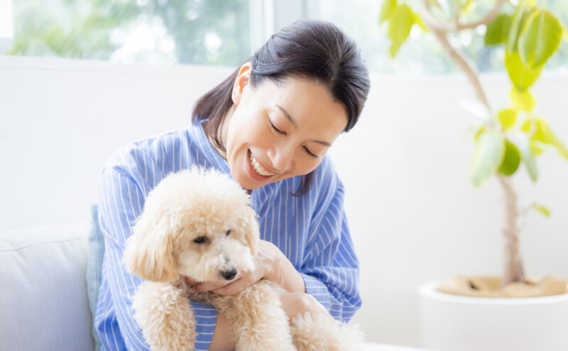 犬は人の言葉をどれぐらい理解している？