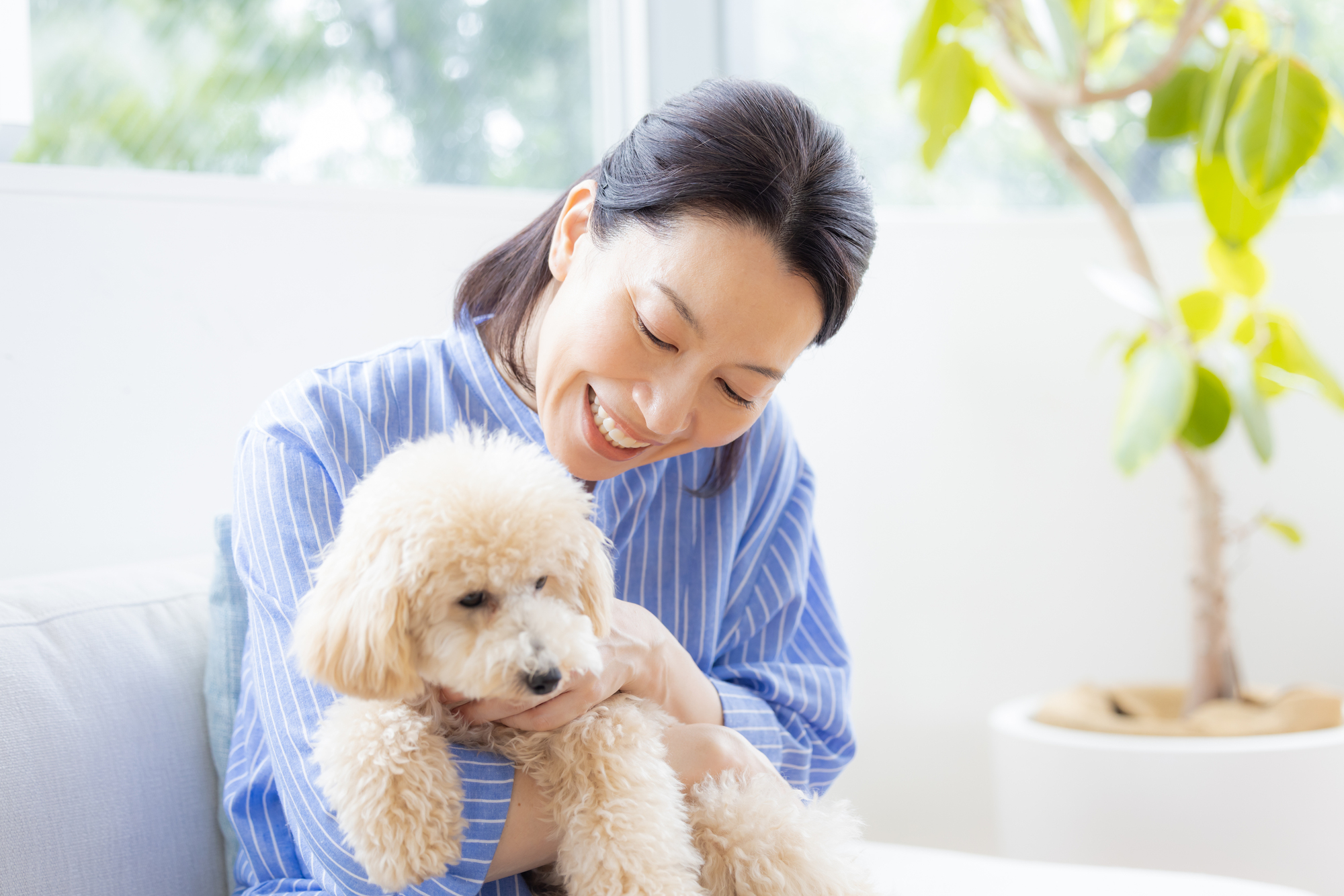 犬は人の言葉をどれぐらい理解している？