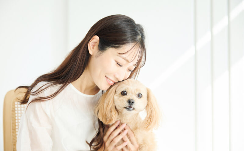 一人暮らしで犬を飼うメリットと注意点