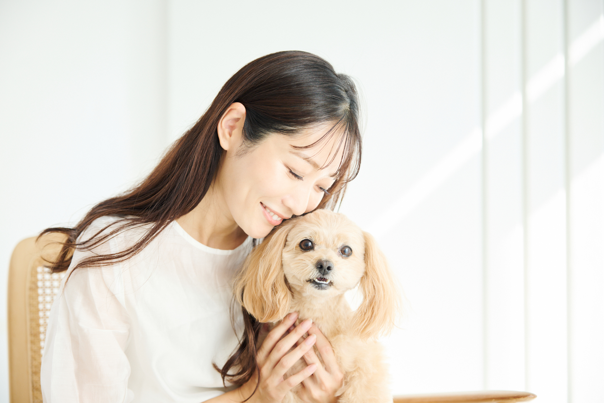 一人暮らしで犬を飼うメリットと注意点